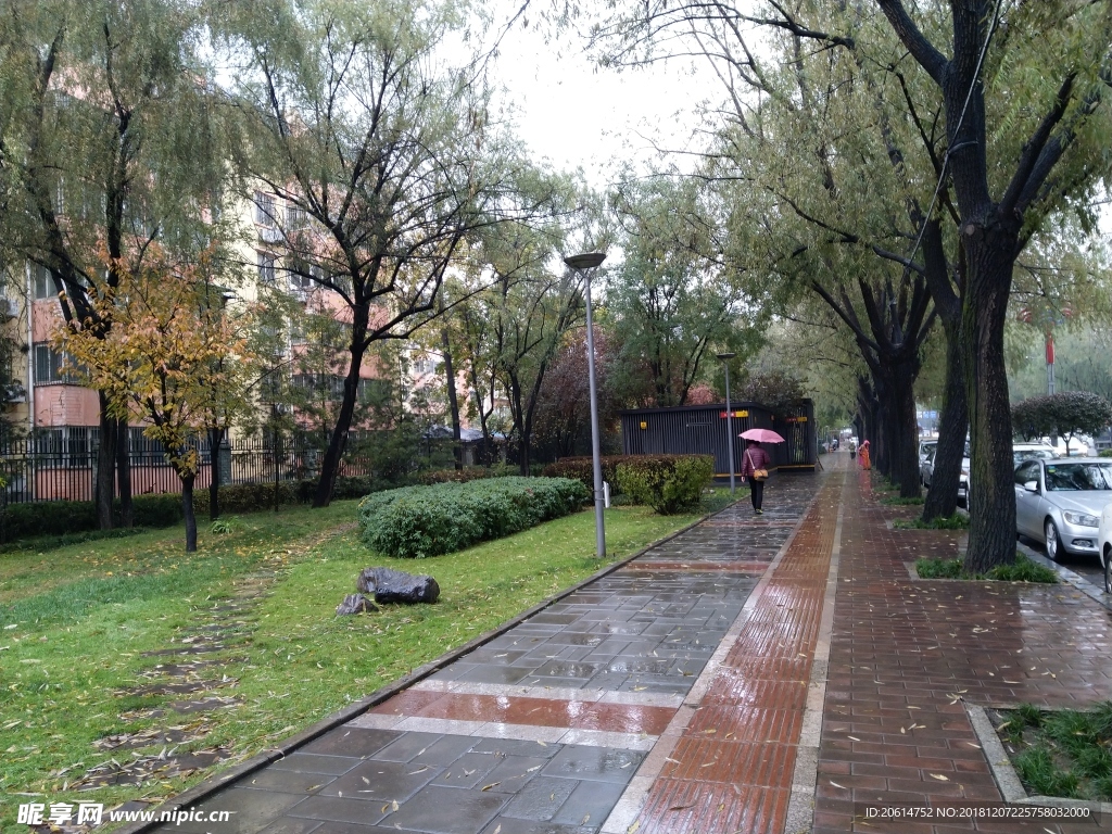 雨天的城市街道