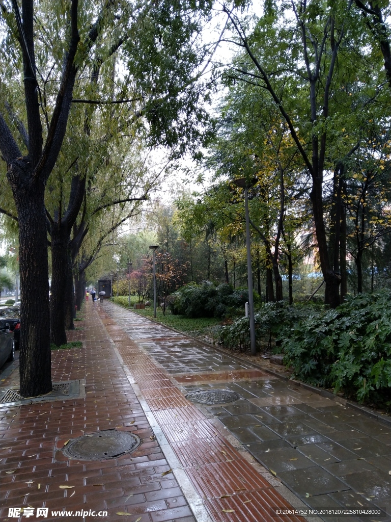 雨天的城市街道风景