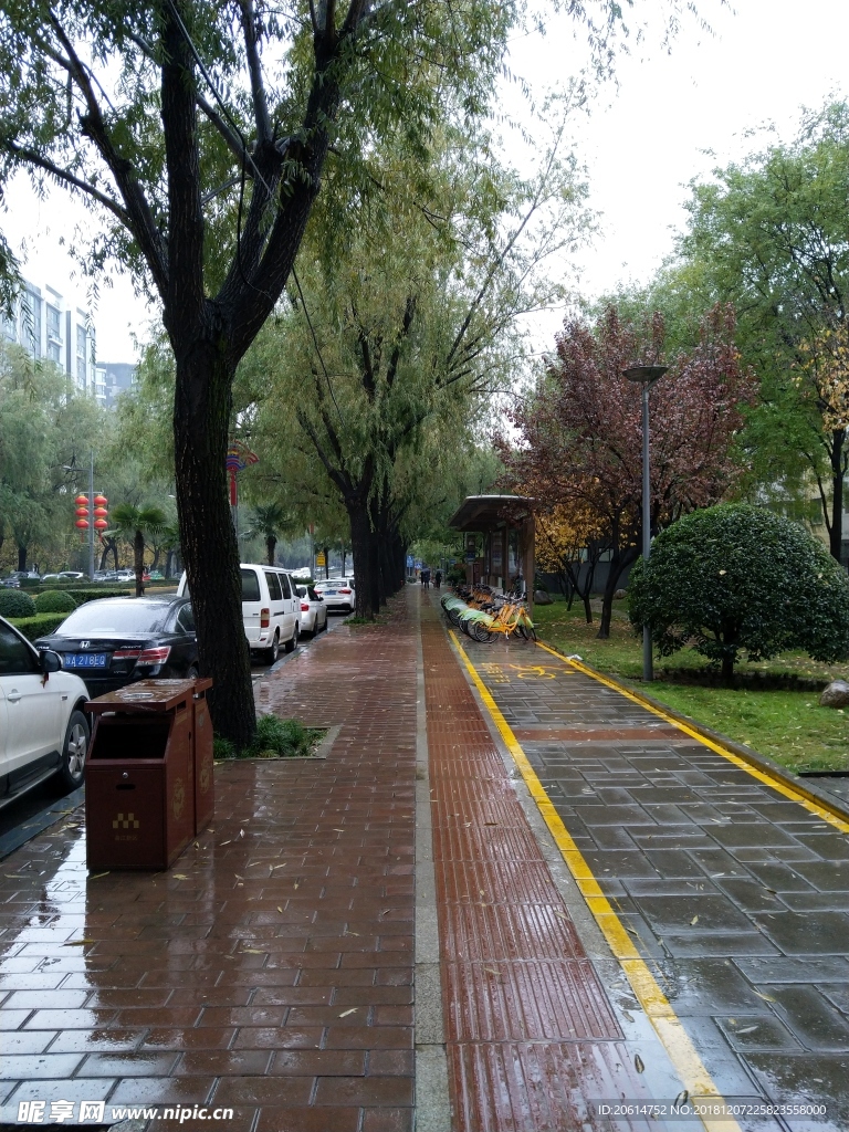 雨天的城市街道