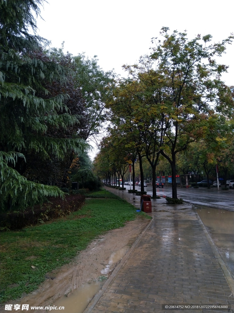 雨天的城市街道