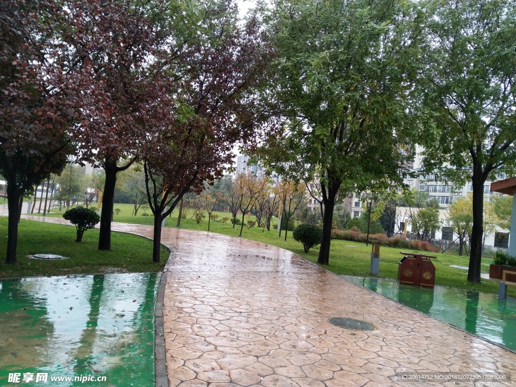 雨天的公园风景