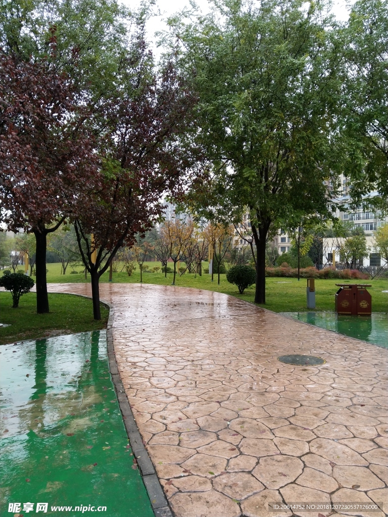 雨天的公园风景