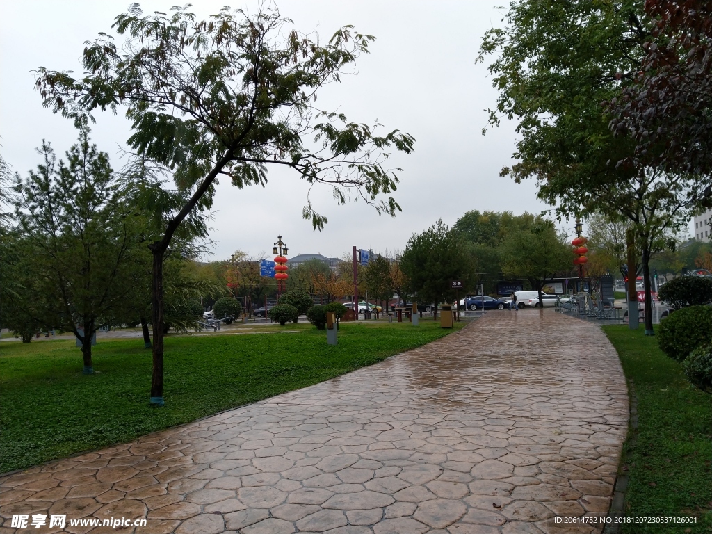 雨天的公园风景