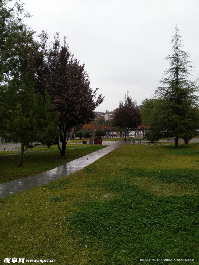 雨天的城市公园