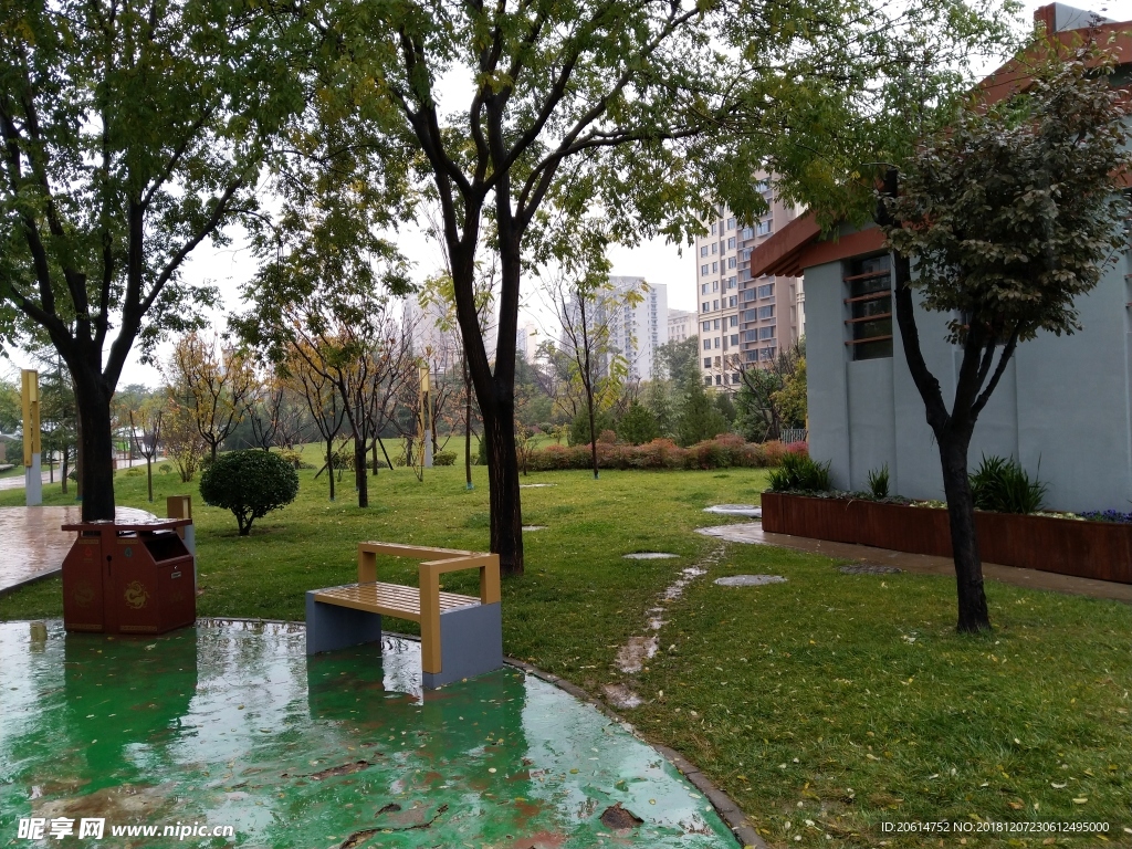 雨天的公园风景