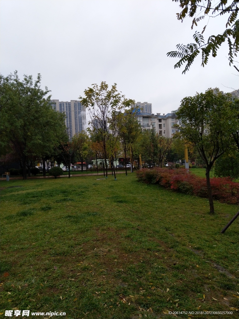 雨天的公园风景