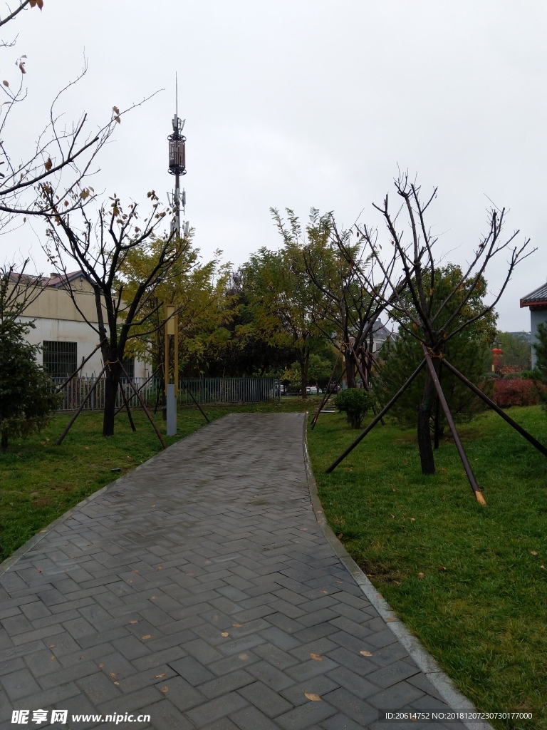 雨天的公园风景