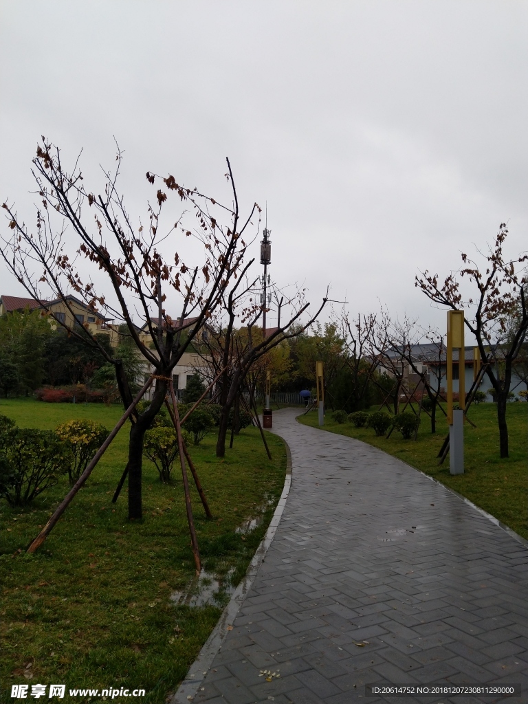 雨天的公园风景