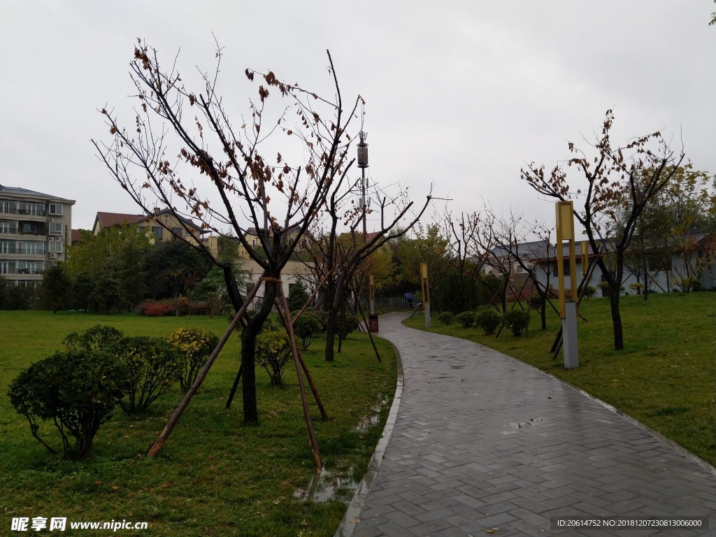 雨天的公园风景