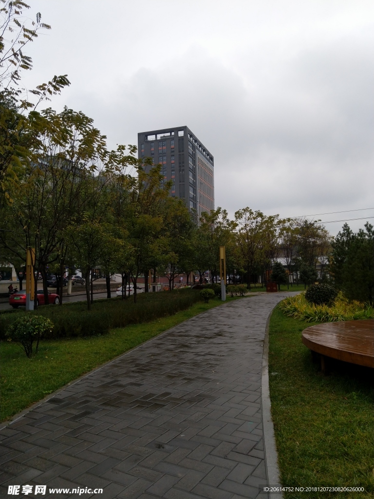 雨天的公园风景