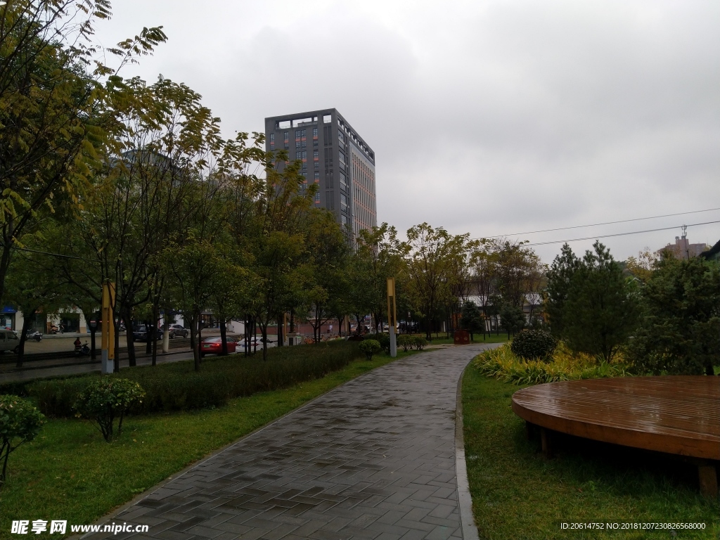 雨天的公园风景