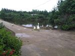 大鹅