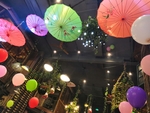 夜伞