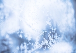 高清唯美雪花背景 冰晶雪花