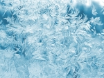 高清唯美雪花冰晶