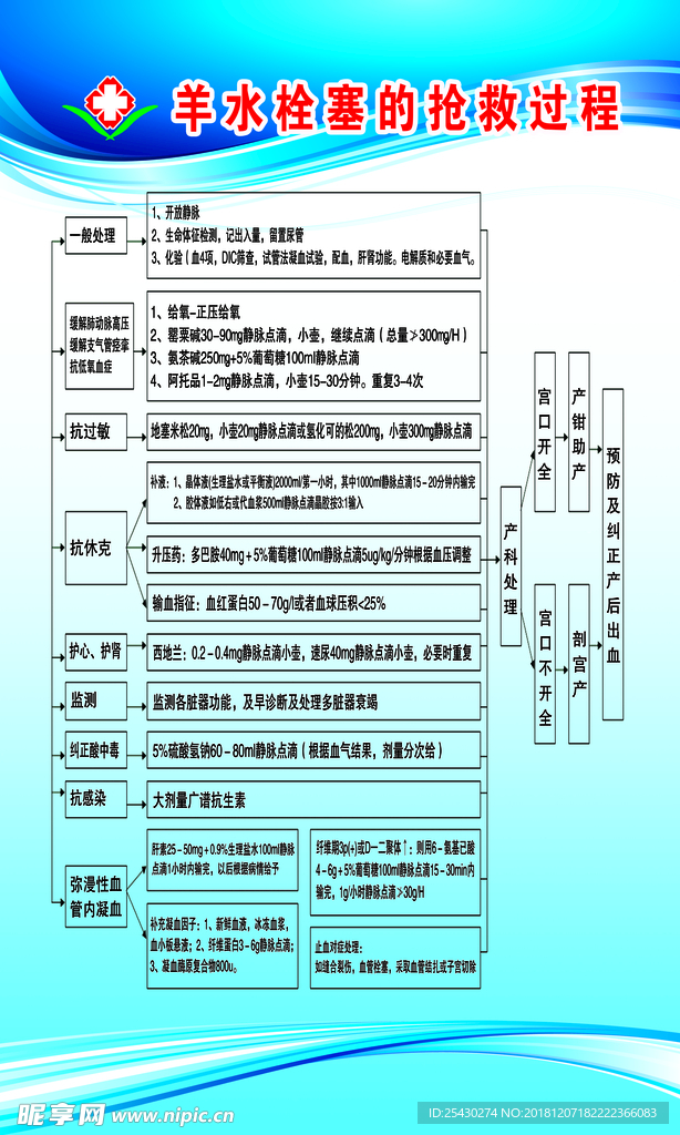 羊水圈赛