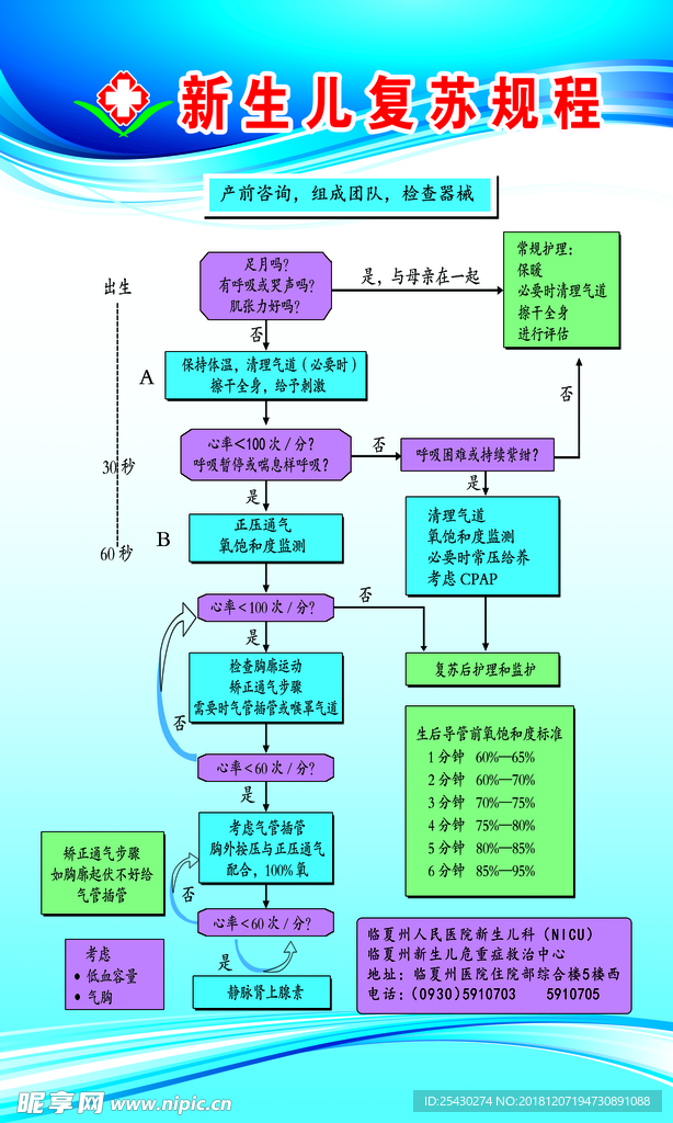 新生儿复苏