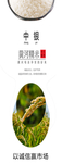 大米展架