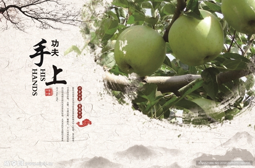 红富士苹果宣传册