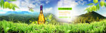 绿色风景橄榄油电商banner