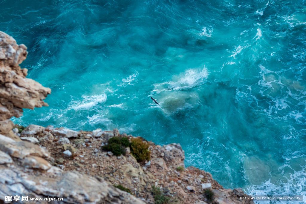 海
