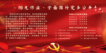 阳光政务