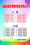 十要十不要