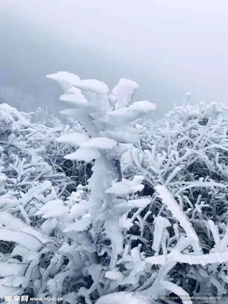 雪天风景