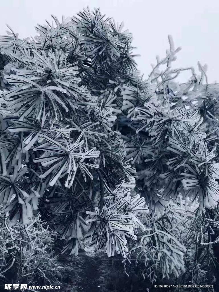 雪天风景