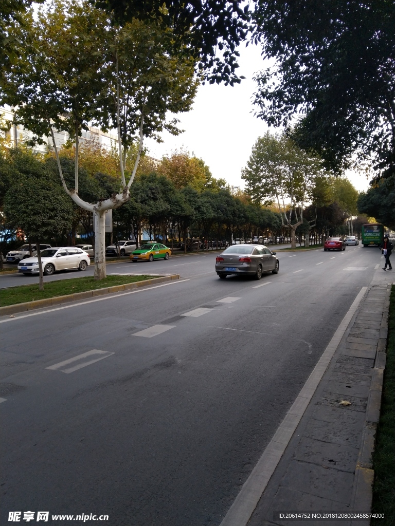 城市道路风景
