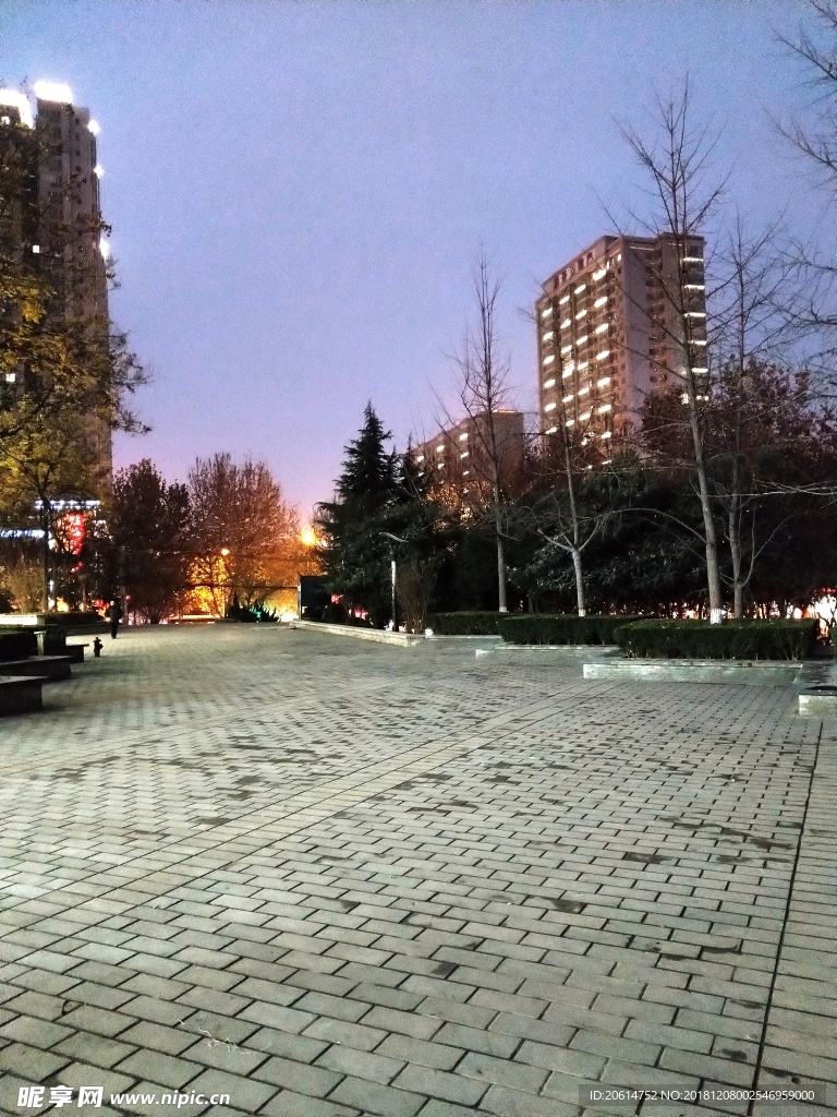 夜色下的城市高楼风景