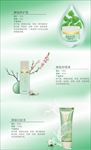 化妆品 女人 清新 美容
