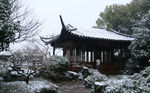 雪景
