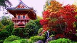 风景