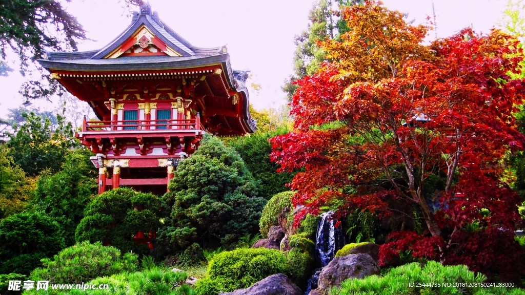 风景