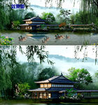 风景流水小鸭子游泳视频