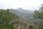 丘陵果园