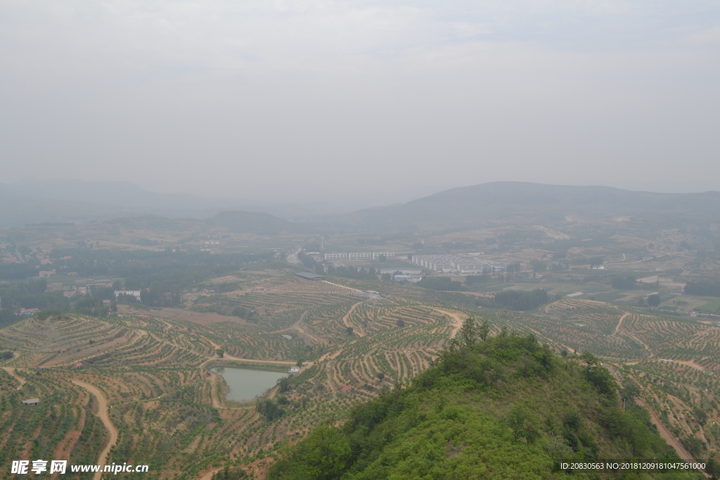 丘陵果园