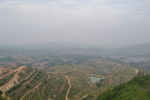 丘陵果园
