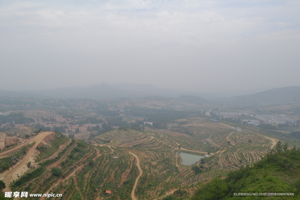 丘陵果园