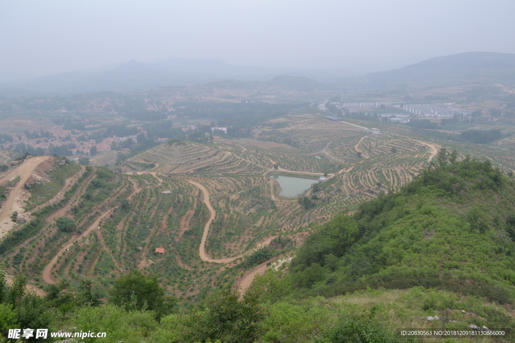 丘陵果园