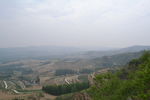 丘陵果园