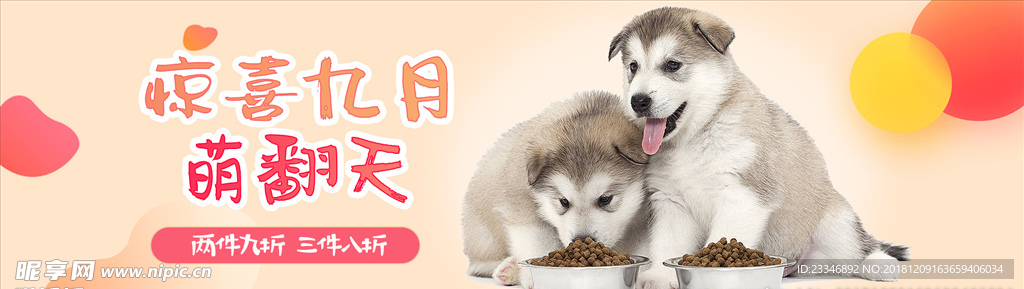 狗粮
