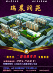 房地产彩页