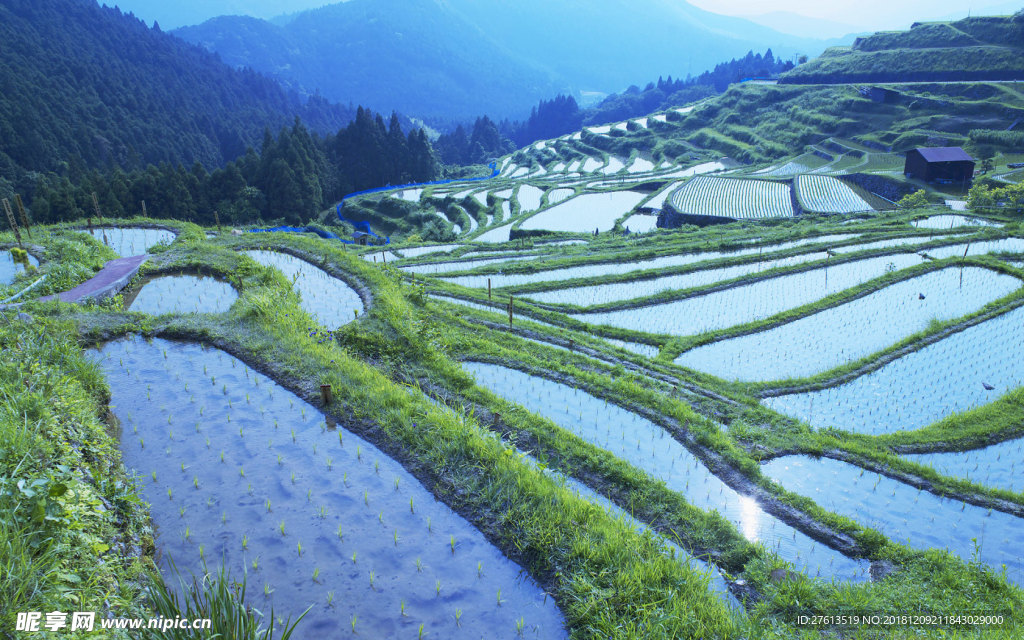 美丽的梯田风景图片