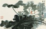 张大千 荷花