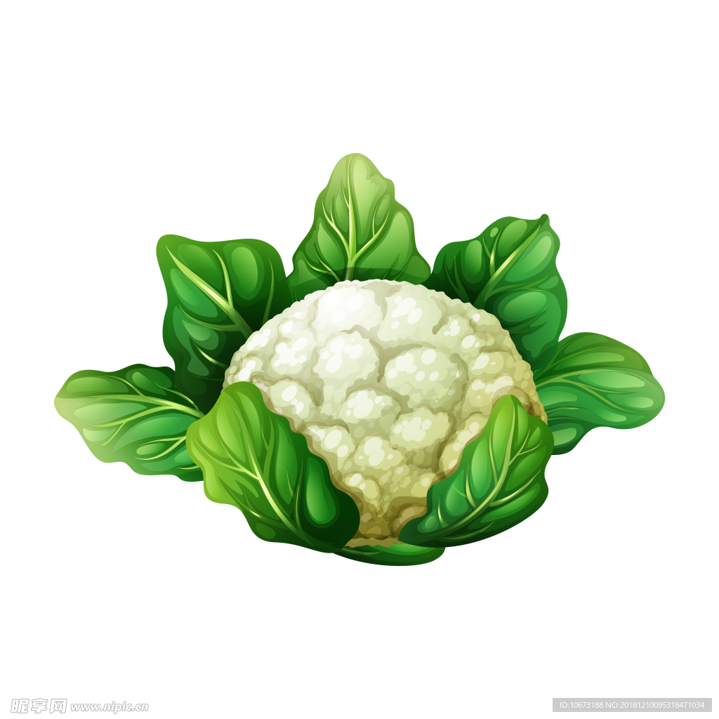 卡通蔬菜图片
