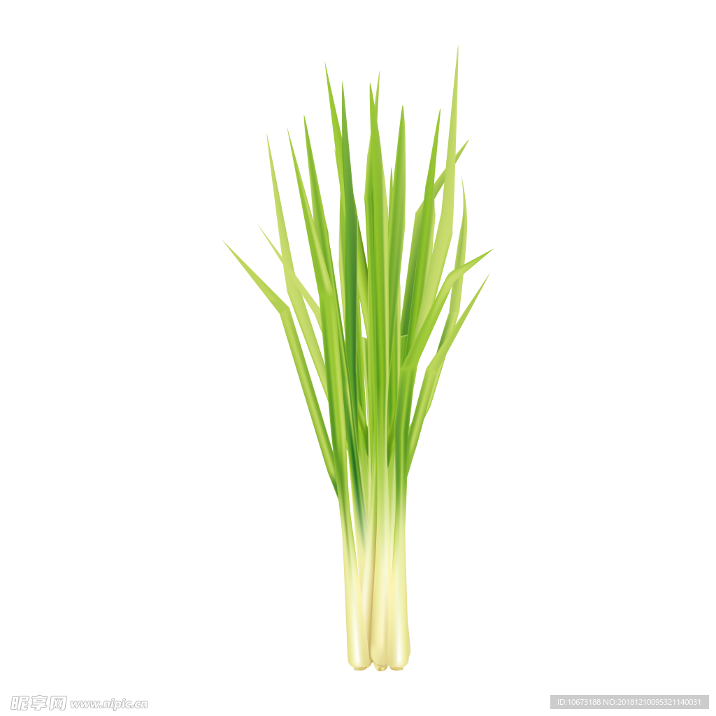 卡通蔬菜图片