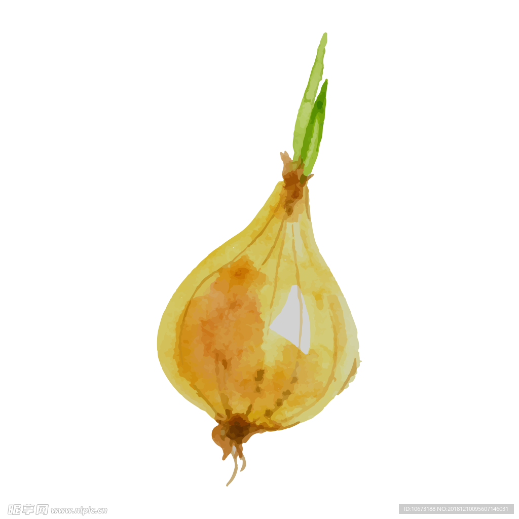 卡通蔬菜图片