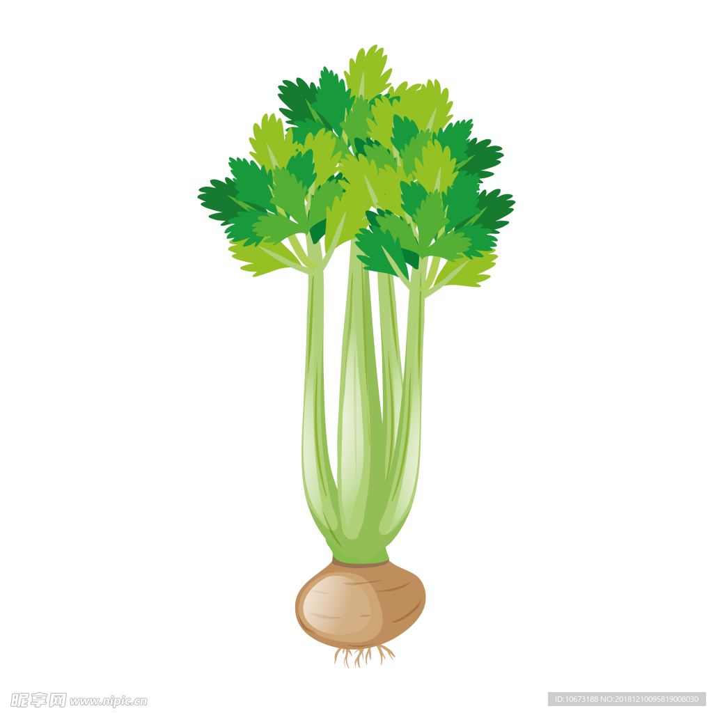 卡通蔬菜图片